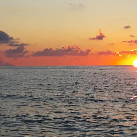 Ortensia A Tropea